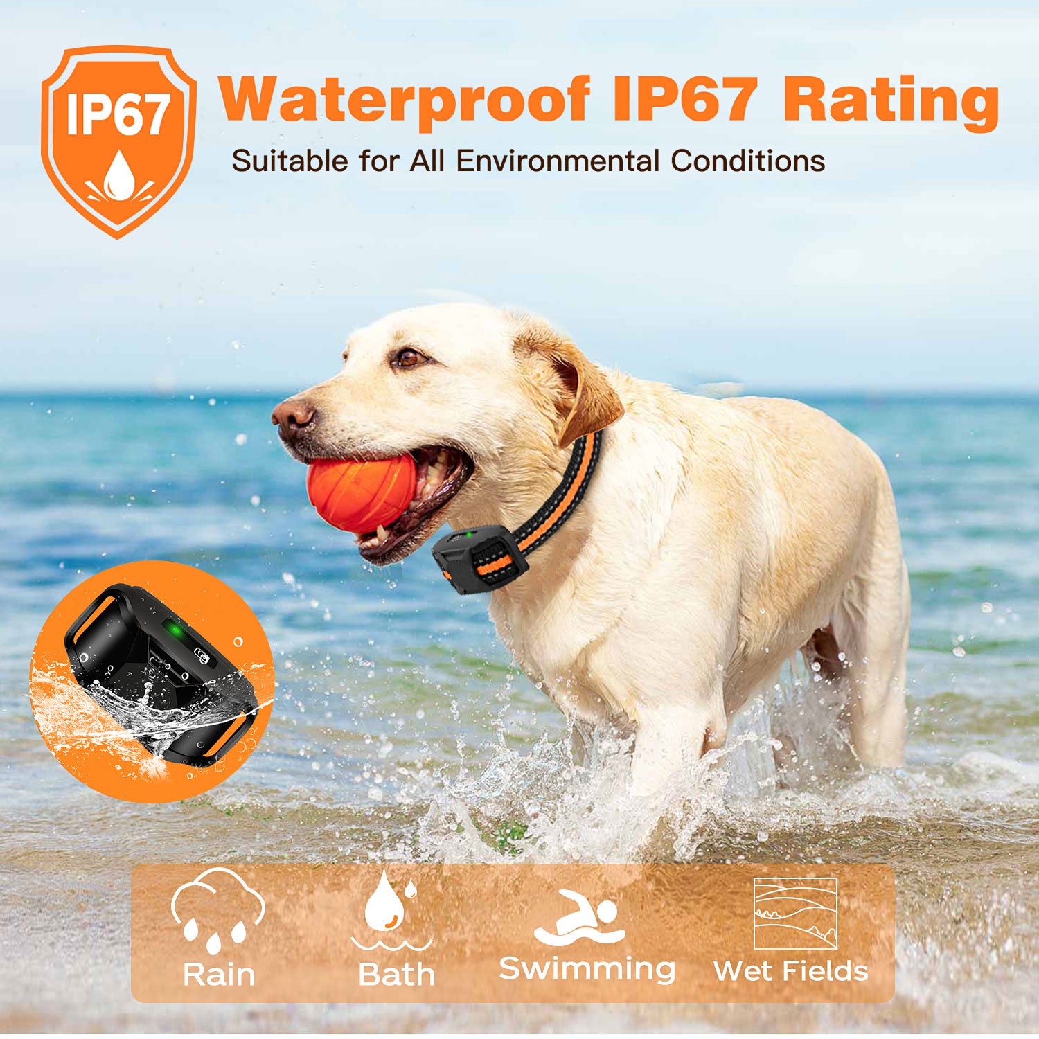 Electric Dog Training Collar | Waterproof & Remote Control