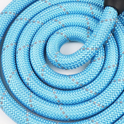3M Reflective Dog Leash - Padded Handle & Heavy Duty Rope