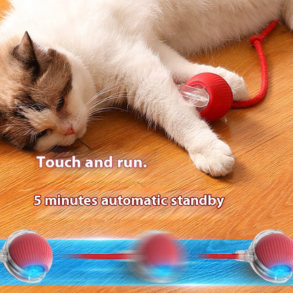 Cat Interactive Ball | Rechargeable Smart Toy for Kittens