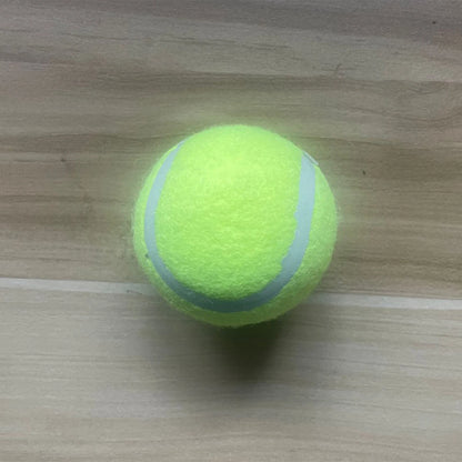 Pet Tennis Ball Launcher: Effortless Fetch & Arm Safety
