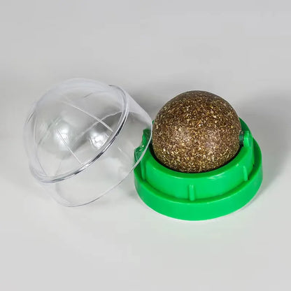 Catnip Wall Ball Toy | Natural Digestive Treat for Cats