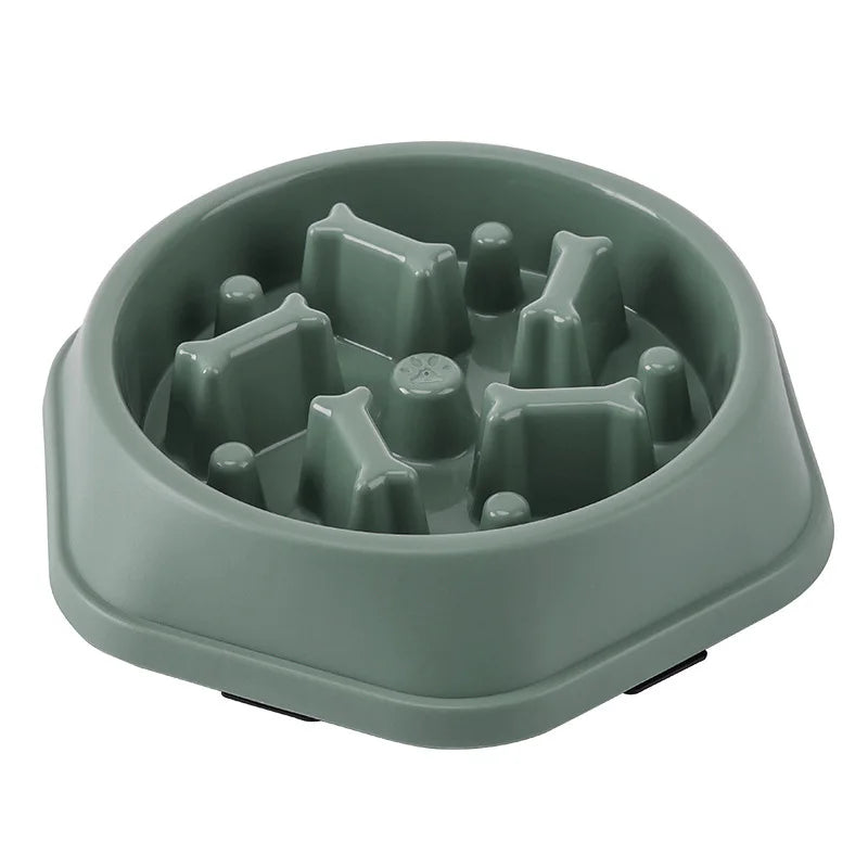 Green dog bowl