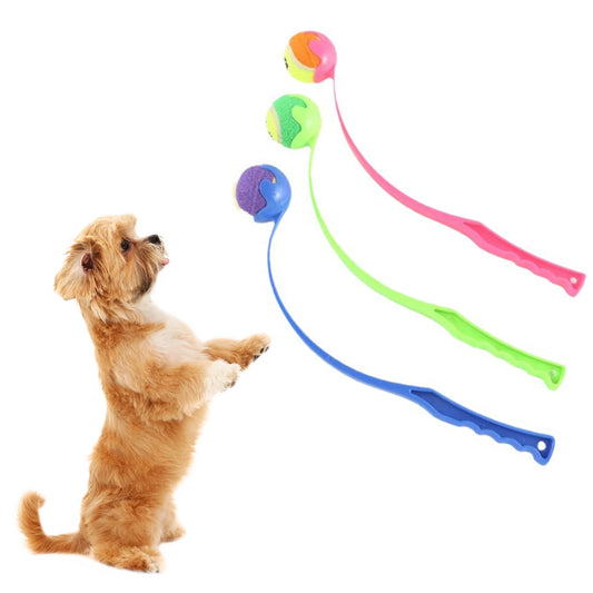 Pet Tennis Ball Launcher: Effortless Fetch & Arm Safety