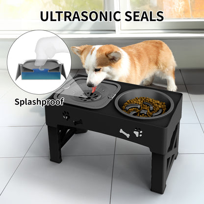 Pet Feeder 3-in-1 | Adjustable Height, Slow Feed, Double Bowls