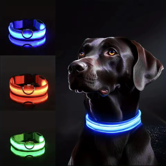 LED Dog Collar Light Up Safety Night Walking Flashing Glow