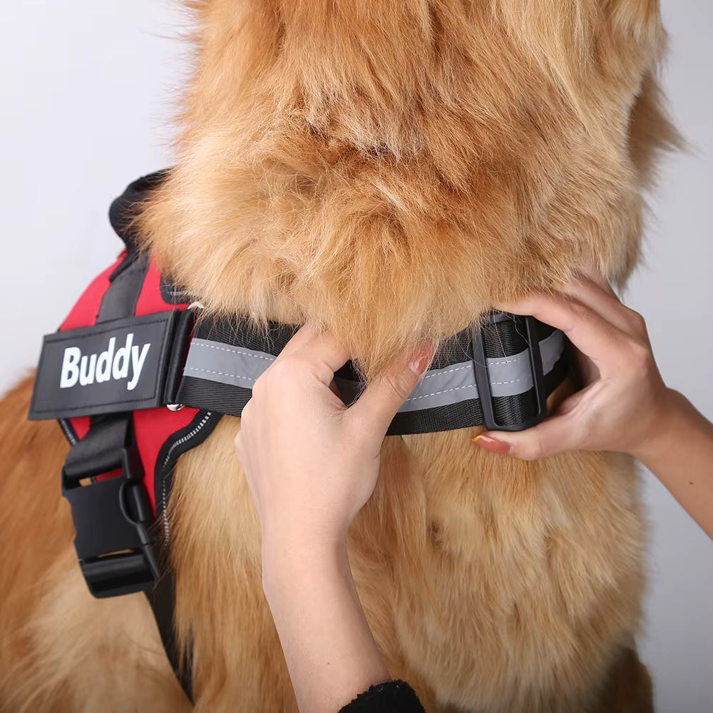 No-Pull Personalized Dog Harness - Reflective & Breathable