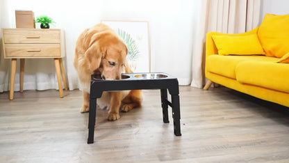 Elevated Dog Feeder | Adjustable Stand & Double Steel Bowls