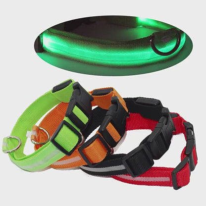 LED Dog Collar Light Up Safety Night Walking Flashing Glow