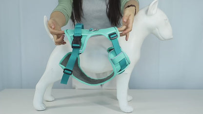 Reflective Mesh Dog Harness | Adjustable for All Sizes