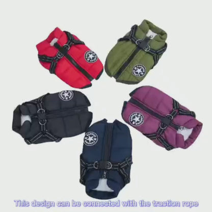 Winter Dog Coat | Waterproof, Warm, with Harness for All Sizes