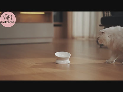 Smart WiFi Pet Feeder 2L | App-Controlled Auto Cat & Dog Dispenser